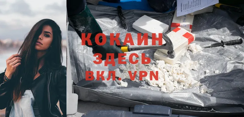 маркетплейс Telegram  Рыбное  Cocaine VHQ  купить  цена 